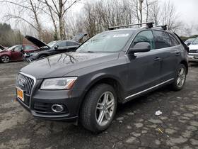 127.au1414 Audi Q5 2014 Door Moulding Front 5114446