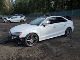 195.au1e16 Audi S3 2016 Tail Finish Panel 5330621