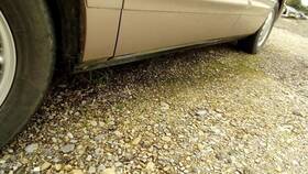 189.gm4v99 Buick Driver Left Rocker Trim Molding Fits 99 Park Avenue 305044