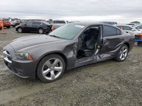 195.ch2r14 Dodge Charger 2014 Tail Finish Panel 6976224