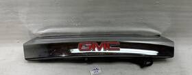 23333993 Gmc 2010 - 2016 Terrain Oem Rear Liftgate Molding Trim With Camera