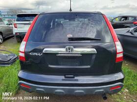 75312swa003 Honda Right Front Door Moulding Oem 2009 Cr-v