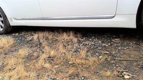 189.hy1v13 Hyundai Equus 2013 Rocker Panel Moulding 480100