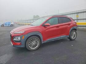 87731j9000ca Hyundai Kona 2021 Door Moulding Rear 10925610