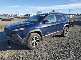 Jeep 127.am8514 Right Front Door Moulding Oem 2014 Cherokee