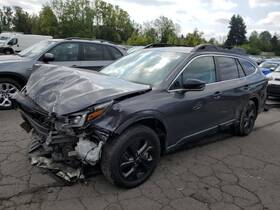 127.su1q21 Subaru Outbakleg 2021 Door Moulding Front 8015682