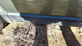Volkswagen 3b0854950bb41 98-05 Vw Passat Passenger Right Rear Moulding From Door Oem Back Trim Strip