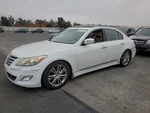 Left Front Door Moulding Oem 2012 Hyundai Genesis. Fixed Price $125.00.