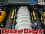 Dodge Charger 6.1L Hemi Engine Decal SRT8 2005 2006 2007 2008 2009 2010. Fixed Price $20.00.