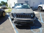 Renegade 2020 Rocker Panel Moulding 1372364. Fixed Price $125.00.