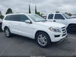 Tail Finish Panel Oem 2015 Mercedes-benz GL450. Fixed Price $80.00.