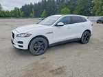 Left Front Door Moulding Oem 2019 Jaguar F-pace T4A13119. Fixed Price $125.00.