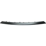 Bumper Face Bar Trim Molding Step Pad Front Lower For Toyota Camry 2018-2020. Fixed Price $37.13.