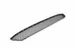 Genuine Oem Front Center Lower Grille For Bmw X1 13-15 51117303752. Fixed Price $70.57.