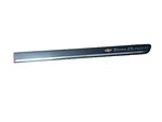 Chevy Oem 2002-2005 Trailblazer Front Passenger Rh Door Moulding Trim 15185709. Fixed Price $79.99.