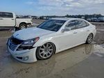 Left Rear Door Moulding Oem 2011 Hyundai Equus 877213N000. Fixed Price $100.00.