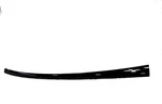 2021 2025 Ford Mustang Mach-e Right Roof Molding Black LJ8B-R50462-A Oem. Fixed Price $170.24.