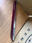 2010- 2011 Lexus HS250 Hybrid Drivers Side Lh Rear Door Red Moulding 75076-75020. Fixed Price $40.00.