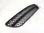 2006-2008 Bmw Series 328I Lower Center Grille. Fixed Price $82.00.