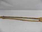 New Oem 1998-1999 Ford Taurus Sable Outside Door Molding Moulding Trim Cover. Fixed Price $79.99.