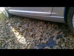 Crossfire 2007 Rocker Panel Moulding 331579. Fixed Price $140.00.