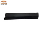 For 2019-2026 Chevrolet Blazer Door Molding Trim Front Right Passenger Side. Fixed Price $109.69.