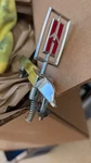 78 79 80 Oldsmobile Cutlass Supreme Rocket Hood Ornament Header Panel Emblem. Fixed Price $200.00.