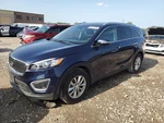 Kia Sorento 2016-2020 Sunroof Blue 71130-C6000 0441. Fixed Price $938.75.