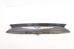 2020 - 2022 Chrysler Voyager Rear Liftgate License Plate Molding Oem Gray Pau. Fixed Price $74.55.