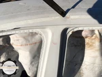 2023-2025 Honda Accord Hybrid Left Driver Side Center Pillar Body Frame Cut. Fixed Price $299.99.