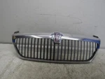 1998 2002 Lincoln Navigator Front Radiator Grille Assembly Oem. Fixed Price $75.99.