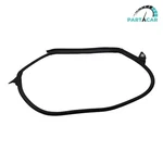 2017 2018 2019 2020-2023 Tesla Model M3 Rear Left Driver Door Seal Rubber Oem. Fixed Price $49.99.