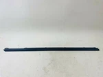 2010 2011 2012 2013 2014 2015 2016 Porsche Panamera Front Rh Door Belt Molding. Fixed Price $48.26.