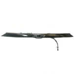 Chevrolet Traverse Liftgate Hatch Applique Trim Assembly W Rear Camera Oem. Fixed Price $200.95.