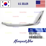 Front Bumper Grille Trim Molding Left Driver 86563D2000 Genesis G90 2017-2020. Fixed Price $108.37.