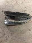 57 Chevrolet Bel Air Left Hand Hood Rocket Chrome Trim. Fixed Price $30.00.