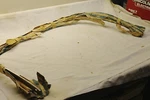 Nos Gm 1973,1974 Pontiac Catalina, Bonneville, Gran Wheel Lip Moulding. Fixed Price $79.99.