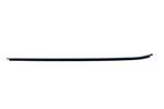 Bmw X3 Series E83 Rear Left N/s Door Outer Weatherstrip Black Matt 3330181. Fixed Price $90.69.