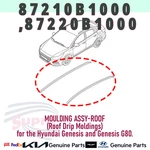 Genuine Roof Moulding Lh Set 87210B1000 87220B1000 For Hyundai Genesis G80. Fixed Price $318.88.
