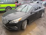 Passenger Center Pillar Us Built Without Sunroof Fits 15-19 Sonata 380271. Fixed Price $320.00.