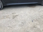 2011 Lexus IS250 Rocker Panel Molding 951442. Fixed Price $135.00.