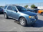 Tail Finish Panel Oem 2010 Ford Escape. Fixed Price $80.00.