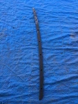 1996-1999 Saturn SL1 SL2 Front Bumper Plastic Trim Filler Black Finish Body. Fixed Price $15.97.