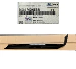 Genuine Windshield Pillar Trim 2024-25-26 Santa Fe Right Side Exterior Molding. Fixed Price $199.95.