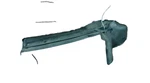 2006-2009 Pontiac Solstice Saturn Sky Passenger Rh Weather Strip Seal 15870036. Fixed Price $52.00.