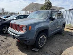 Passenger Right Center Pillar Fits 15-23 Renegade 589158. Fixed Price $255.86.