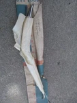 1961 1962 Chevy Impala 4DR Sedan & Station Wagon Door Edge Guards Nos Gm. Fixed Price $119.62.