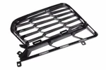 Genuine Gm Outer Grille 86801633. Fixed Price $146.36.