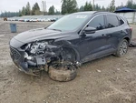 Right Rear Door Moulding Oem 2020 Ford Escape LJ6Z7825556AB. Fixed Price $150.00.