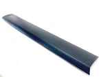 17-20 Jaguar F-pace Front Right Door Lower Molding Oem. Fixed Price $169.65.